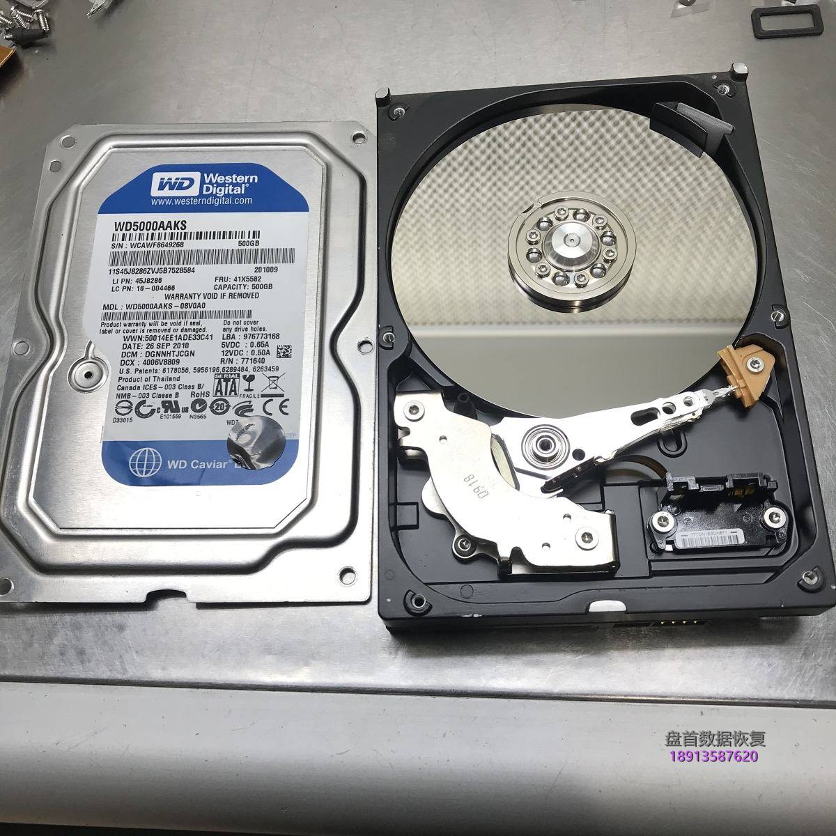 WD500G台式蓝盘突然损通电敲盘磁头异响开盘数据恢复成功