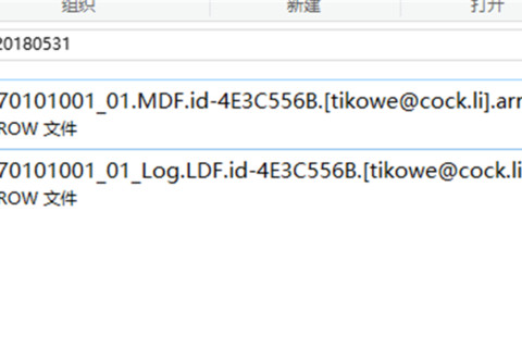 .arrow勒索病毒后缀名 完全恢复id-4E3C556B.[tikowe@cock.li].arrow