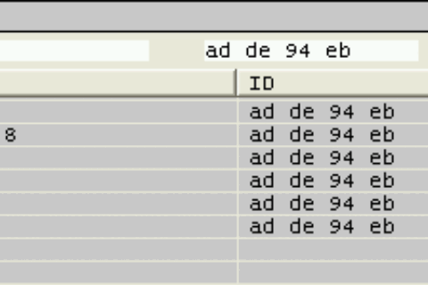Flash Extractor Model模式