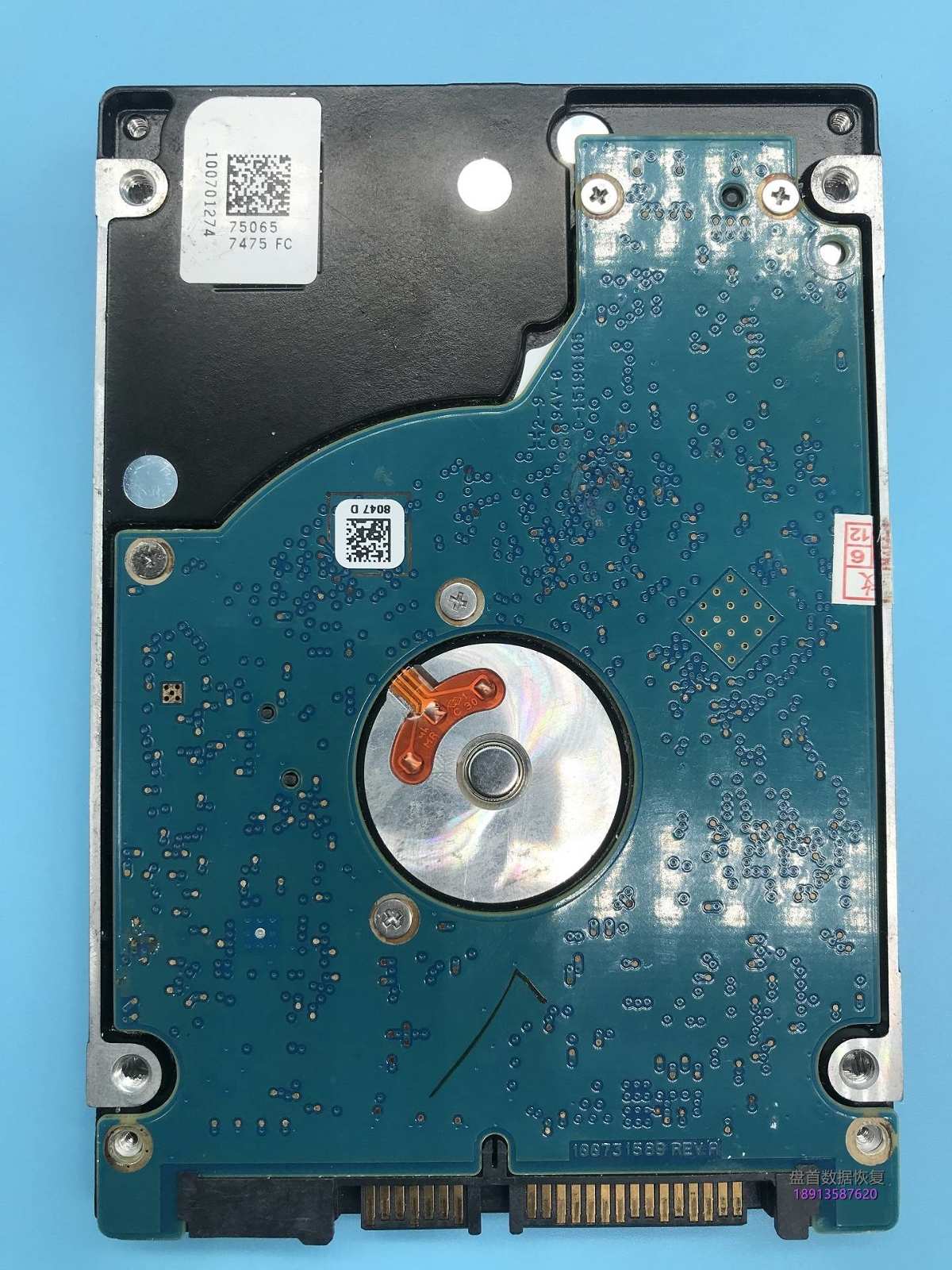 SSHD通电不转ST500LM000固态混合盘NAND损坏通病导致不转数据恢复成功